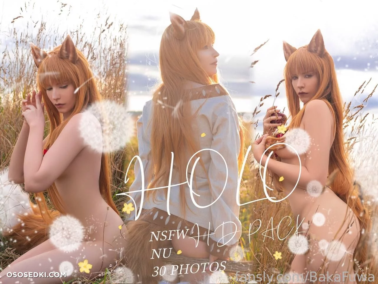 Baka Fuwa – Holo – Spice And Wolf | Ookami To Koushinryou_67d70f485b958.webp - photo & video leak - 1359 - 2025-04-30 - By admin