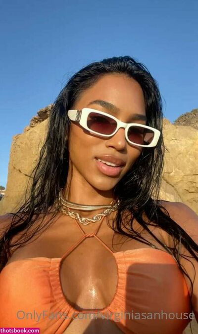 Virginia Sanhouse_67d890f7e5ee8.jpeg - photo & video leak - 7079 - 2025-04-26 - By admin - Virginia Cortes / vir_cortes